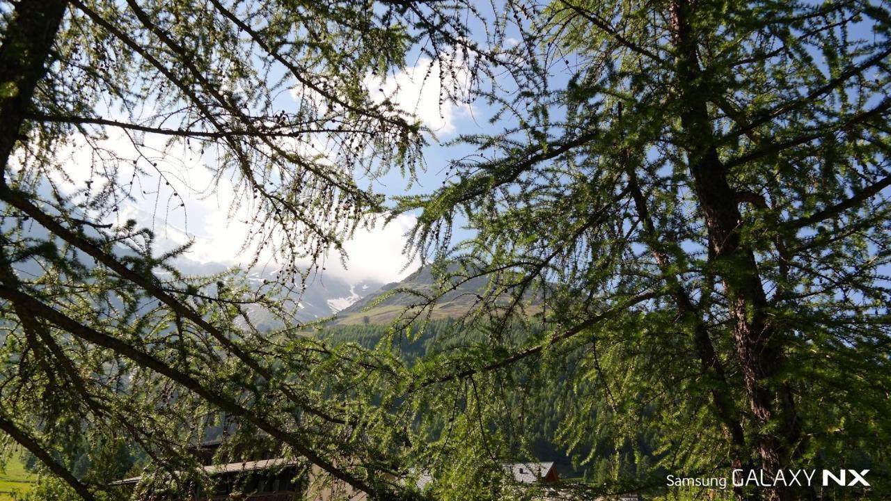 Amber Ski-in/out & Hotel